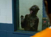 《X特遣队》之后，DC的下一阶段仍不明朗