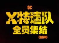 小丑女全新造型X特遣队强势回归，DC粉：可是这有什么好期待的呀