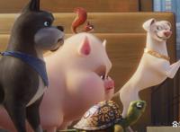 《DC萌宠特遣队》狗的弱点不是骨头吗？做超人的宠物有多无奈？