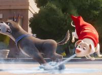 《DC萌宠特遣队》狗的弱点不是骨头吗？做超人的宠物有多无奈？