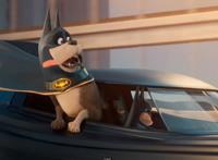 《DC萌宠特遣队》：宠物拯救世界，基努·里维斯版话痨蝙蝠侠