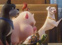 《DC萌宠特遣队》：一部关于宠物成为超级英雄的动作喜剧电影