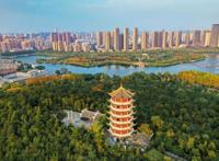 真·蚌埠住了，这座安徽小城，忽然成了中国“人最多”的城市