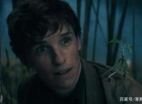 今日简讯：优酷新综艺开播即塌房，《蝙蝠女》反派萤火虫造型曝光