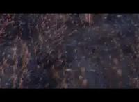 凡王之血，必以剑终！《龙族》动画正式官宣！