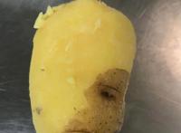 蔬菜的“名场面”，我画的都没它们长得好，太搞笑了，哈哈哈……