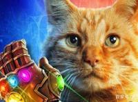 漫威DC中的动物千万不要惹，一个噬元兽就够了，这只毛毛虫更厉害