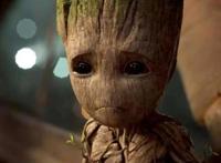 美漫有萌宠格鲁特，日漫有乔巴，我们的萌宠是谁呢？