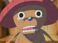 美漫有萌宠格鲁特，日漫有乔巴，我们的萌宠是谁呢？