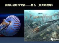 我们用来咬合的颌骨，竟和这条古鱼海怪一脉相承｜朱幼安