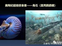 我们用来咬合的颌骨，竟和这条古鱼海怪一脉相承