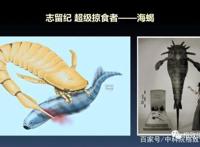 我们用来咬合的颌骨，竟和这条古鱼海怪一脉相承