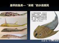 我们用来咬合的颌骨，竟和这条古鱼海怪一脉相承