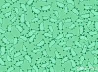 海绵宝宝把派大星训练成蟹老板的宠物，痞老板居然也有自己的宠物