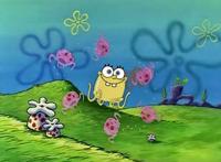 为了回归自然生活海绵宝宝搬去和水母一起住第二天他就后悔了