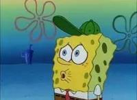 《海绵宝宝》并不是给小孩子看的动画片，从这些事实里就能证明
