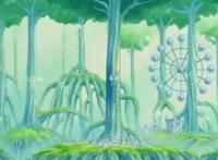 海贼王：最神奇的5种植物，最后一种为奥运会禁止的物品