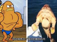 海绵宝宝：比奇堡生物原型，痞老板是远古生物，章鱼哥少两根爪子