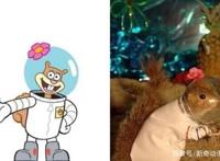 动漫：现实版的《海绵宝宝》，蟹老板被煮熟，珊迪的还原度最高！