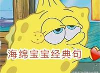 动漫《海绵宝宝》：我生下来就是为了与你相遇