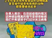 海绵宝宝被下架两集，中年危机没有毛病，“偷衣服”是什么习惯