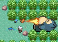 两年来，互动视频发生了什么变化