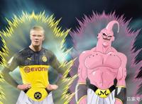 关于埃尔林·哈兰德您可能不知道的十件轶事