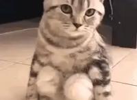 神回复：想得有多美好，现实就有多残酷，祝你好运