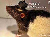 吊打上司，独占女神，马斯克说一年就将植入人脑的脑机接口有多神