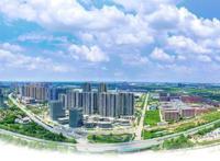 铆足“虎劲”！武汉蔡甸全力夺取一季度开门红