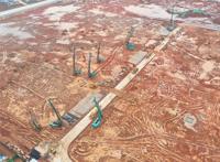 铆足“虎劲”！武汉蔡甸全力夺取一季度开门红