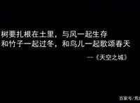 宫崎骏：极尽我的温柔，让你看到世间美好