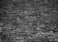 过山车上的晋江文学城