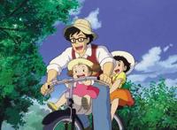 《龙猫》：阳光下的嫩芽，夜空里的大树，都是童年最美的梦境