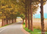 爆火网络出圈的中华第一城，被正式列入《世界遗产名录》