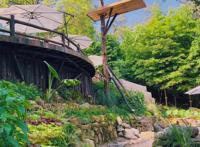 藏在重庆南山的奇妙花园，误入宫崎骏的漫画，在沉睡森林苏醒