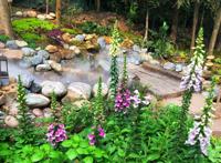 藏在重庆南山的奇妙花园，误入宫崎骏的漫画，在沉睡森林苏醒