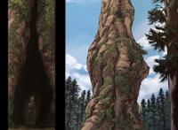 进击的巨人：谏山创早就暗示了王族和大树的关联，王族图案暗示了