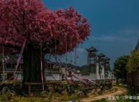 去临安河桥古镇，下车伊始就看到了《狐妖小红娘》的涂山城