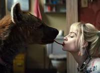 哈莉·奎茵将如何加入《自杀小队2》？DC导演做出解释