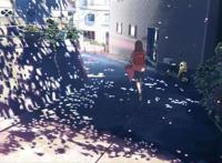 盘点无聊的时候可以温暖人心的动漫电影