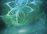 《凡人修仙传》高逼格动漫已出，《神墓》《遮天》何时出来？