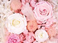 致爱情情歌演唱会2020成都站，遇见爱情即刻出发！