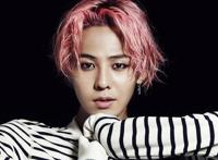 明星也爱权志龙：章子怡怀孕去看演唱会，最后一位你肯定想不到！