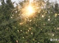 德凯奥特曼第十话：简直就是大友博士的翻版，胜利飞鹰再现骚操作