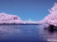 三门峡市2021-2022学年度下学期期中质量检测高二语文