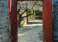 走进北京校园寻访大学里的博物馆