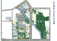 东北林业大学新生攻略