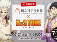 2022年7月新番《石纪元龙水》的最新情报即将公开！