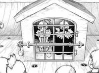 冰月第三次被石化，觉得这次不会有人救他了，其实，未必